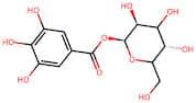1-O-Galloyl β-D-glucopyranoside