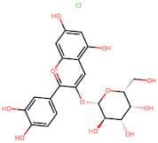 Cyanidin 3-O-β-D-galactopyranoside chloride