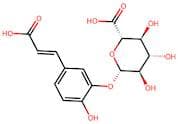 Caffeic acid 3-O-β-D-glucuronide