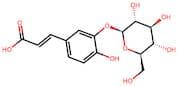 Caffeic acid 3-O-β-D-glucopyranoside