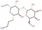 2-Aminoethyl 3-O-(α-D-galactopyranosyl)-β-D-galactopyranoside