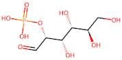 2-(Dihydrogen phosphate) D-glucose