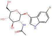 5-Bromo-3-indolyl N-acetyl-β-D-glucosaminide