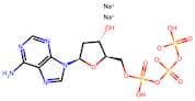 2'-Deoxyadenosine-5'-triphosphate disodium salt