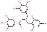 Epigallocatechin gallate
