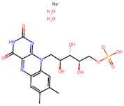 Riboflavin 5'-phosphate sodium salt dihydrate