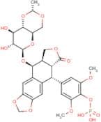 Etoposide 4'-Phosphate