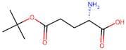 L-Glutamic acid 5-tert-butyl ester