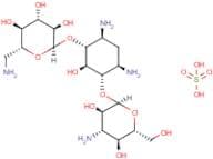Kanamycin Solution (100mg/ml)
