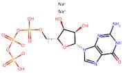 Guanosine-5'-triphosphate disodium salt