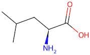 L-Leucine