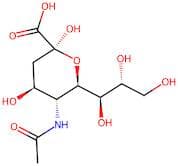 N-Acetylneuraminic acid
