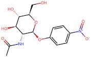 4-Nitrophenyl N-acetyl-β-D-glucosaminide