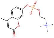 4-Methylumbelliferyl phosphocholine