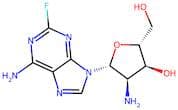 2'-Amino-2'-deoxy-2-fluoroadenosine