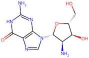 2'-Amino-2'-deoxyguanosine