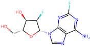 2'-Deoxy-2'-fluoro-2-fluoroadenosine