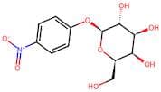4-Nitrophenyl-β-D-galactopyranoside