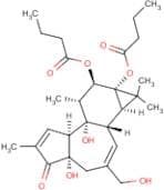 4-α-Phorbol 12,13-dibutyrate