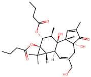 Phorbol 12,13-Dibutyrate