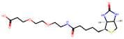 Biotin-PEG2-Acid