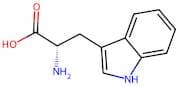 L-Tryptophan