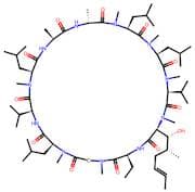 Cyclosporine A from Beauveria Nivea