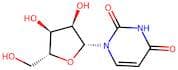 Uridine