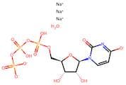 Uridine 5'-Triphosphate Trisodium Salt n-Hydrate