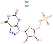 Xanthosine 5'-monophosphate sodium salt
