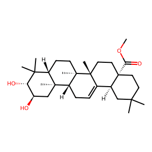 Methyl maslinate