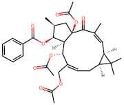 Euphorbia factor L7b