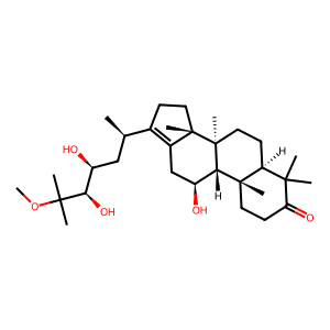 25-O-Methylalisol A