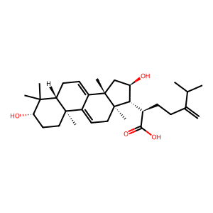 Dehydrotumulosic acid