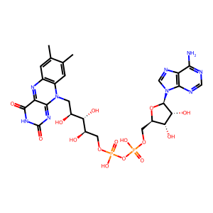 Flavin adenine dinucleotide