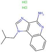 Imiquimod 2HCl