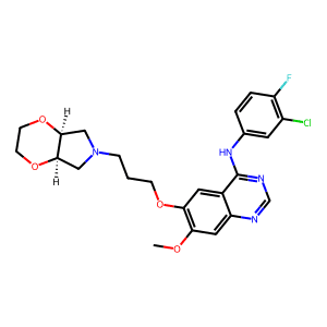 Larotinib