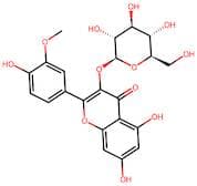 Isorhamnetin-3-O-glucoside