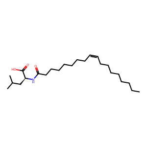 N-Oleoyl Leucine