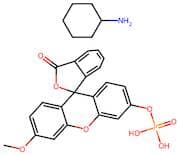 3-OMFP Cyclohexylammonium salt
