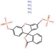 Fluorescein diphosphate tetraammonium
