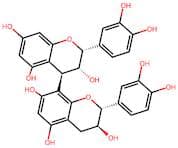 Procyanidin B1