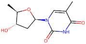 5-deoxy Thymidine