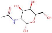 N-Acetyl-D-galactosamine