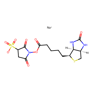Sulfo-NHS-Biotin