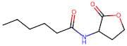 N-hexanoyl-DL-Homoserine lactone