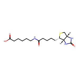 N-Biotinyl-6-aminohexanoic acid