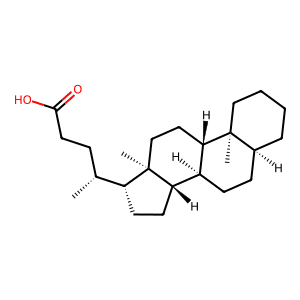 5β-Cholanic acid