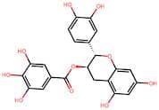 (-)-Catechin gallate