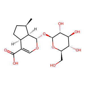 8-Epideoxyloganic acid